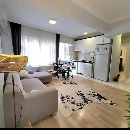 Cozy Flat 3 Bedroom 7 People At Taksim * Istanboel
